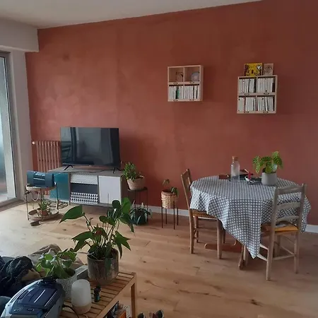 50m2 *
